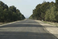 Straße (P3) nach El Fahs